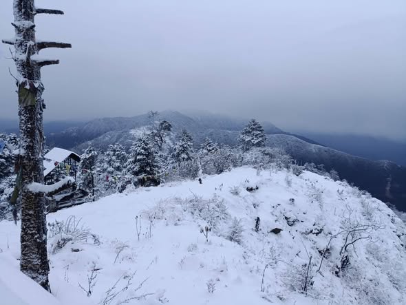  ताप्लेजुङ पाथीभरा पैदलमार्ग दायाँ बायाँ हिउँ । तस्बिरः पाथीभरा क्षेत्र विकास समिति 