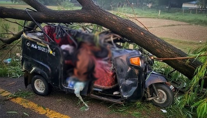 मधेश प्रदेशमा हिजोको हावाहुरीले तीन जनाको ज्यान गयो